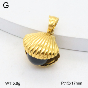 2P4001517bhia-209  Stainless Steel Pendant