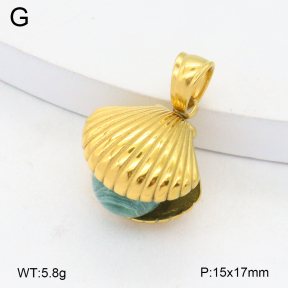 2P4001518bhia-209  Stainless Steel Pendant