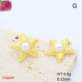 F6E302122ablb-L017  Fashion Copper Earrings