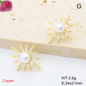 F6E405766ablb-L017  Fashion Copper Earrings