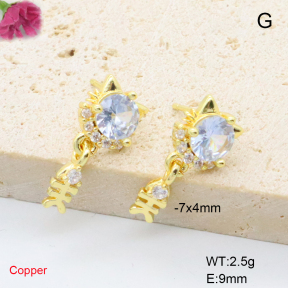 F6E405777ablb-L017  Fashion Copper Earrings