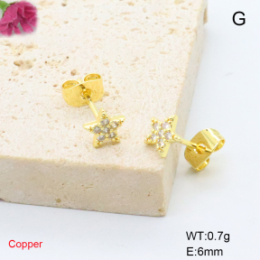 F6E405796aajl-L017  Fashion Copper Earrings