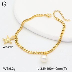 2B3004344bbov-743  Stainless Steel Bracelet