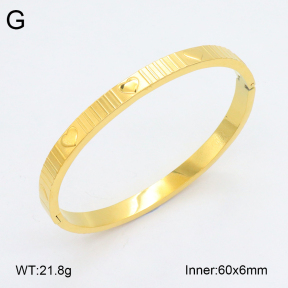 2BA202324vhkb-452  Stainless Steel Bangle