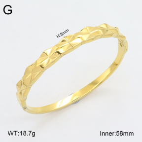 2BA202325vhkb-452  Stainless Steel Bangle