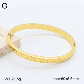 2BA202327vhkb-452  Stainless Steel Bangle