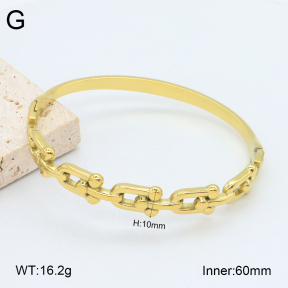 2BA202328vhkb-452  Stainless Steel Bangle