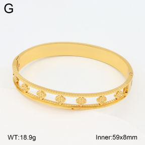 2BA202339vhha-377  Stainless Steel Bangle