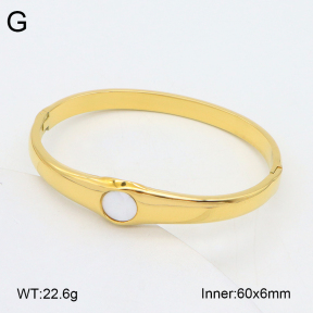 2BA300531vhkb-452  Stainless Steel Bangle