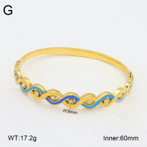 2BA300532vhkb-452  Stainless Steel Bangle