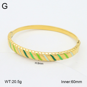 2BA300533vhkb-452  Stainless Steel Bangle