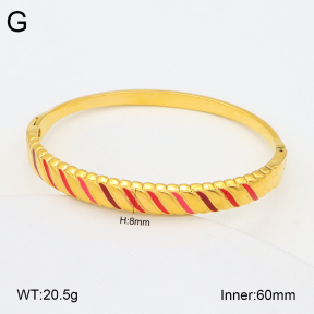 2BA300534vhkb-452  Stainless Steel Bangle