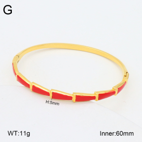 2BA300535vhkb-452  Stainless Steel Bangle