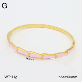 2BA300536vhkb-452  Stainless Steel Bangle