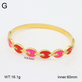 2BA300537vhkb-452  Stainless Steel Bangle