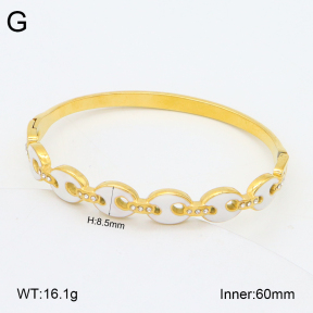 2BA300538vhkb-452  Stainless Steel Bangle