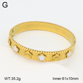 2BA300539bhia-377  Stainless Steel Bangle