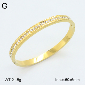 2BA402427vhkb-452  Stainless Steel Bangle