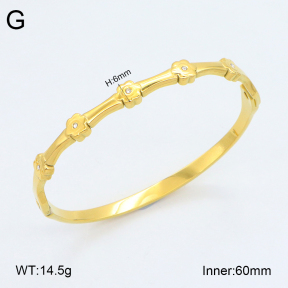 2BA402428vhkb-452  Stainless Steel Bangle