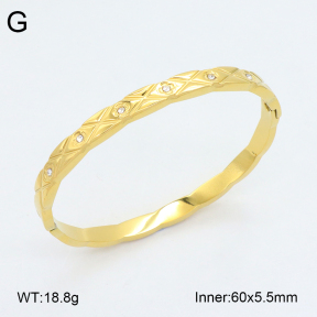 2BA402429vhkb-452  Stainless Steel Bangle