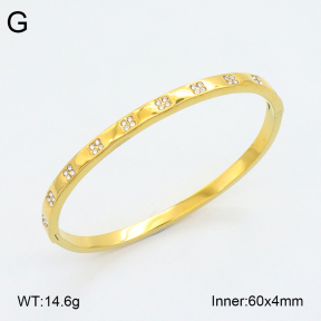 2BA402430vhkb-452  Stainless Steel Bangle