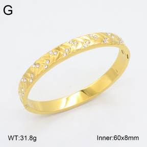 2BA402435vhkb-452  Stainless Steel Bangle