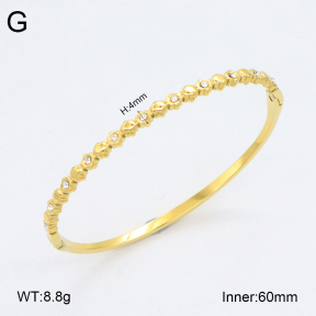 2BA402436vhkb-452  Stainless Steel Bangle