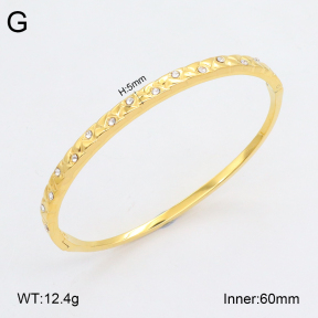 2BA402438vhkb-452  Stainless Steel Bangle