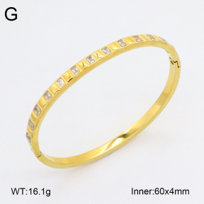 2BA402439vhkb-452  Stainless Steel Bangle