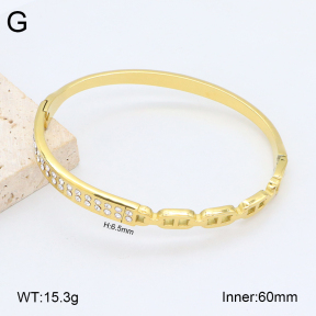 2BA402443vhkb-452  Stainless Steel Bangle