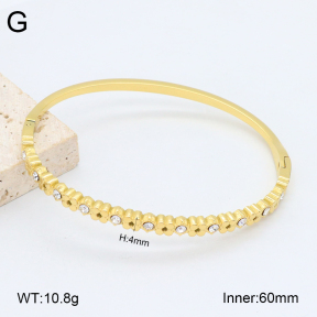 2BA402449vhkb-452  Stainless Steel Bangle