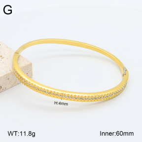 2BA402450vhkb-452  Stainless Steel Bangle