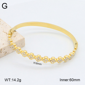 2BA402453vhkb-452  Stainless Steel Bangle