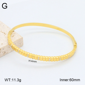 2BA402458vhkb-452  Stainless Steel Bangle