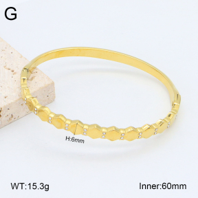 2BA402461vhkb-452  Stainless Steel Bangle