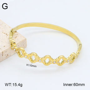 2BA402463vhkb-452  Stainless Steel Bangle