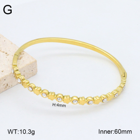 2BA402466vhkb-452  Stainless Steel Bangle