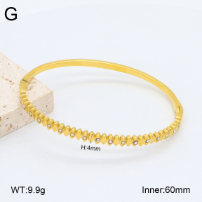 2BA402467vhkb-452  Stainless Steel Bangle