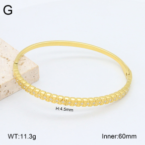 2BA402468vhkb-452  Stainless Steel Bangle