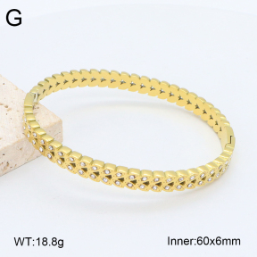 2BA402472vhkb-452  Stainless Steel Bangle