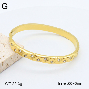 2BA402473vhkb-452  Stainless Steel Bangle