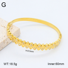 2BA402476vhkb-452  Stainless Steel Bangle