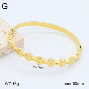 2BA402478vhkb-452  Stainless Steel Bangle