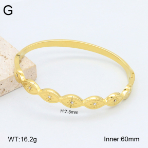 2BA402479vhkb-452  Stainless Steel Bangle