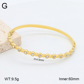 2BA402480vhkb-452  Stainless Steel Bangle