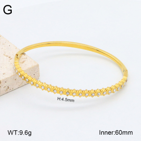 2BA402481vhkb-452  Stainless Steel Bangle