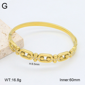 2BA402482vhkb-452  Stainless Steel Bangle