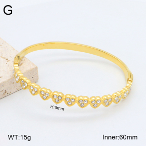 2BA402483vhkb-452  Stainless Steel Bangle