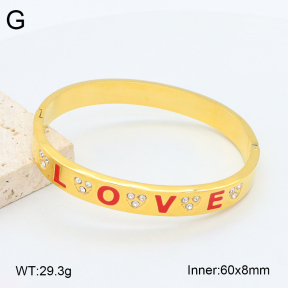 2BA402484vhkb-452  Stainless Steel Bangle