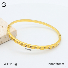 2BA402485vhkb-452  Stainless Steel Bangle